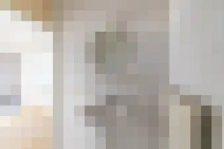 Van Maerlantlaan 4 Haren Gn thumbnail 25