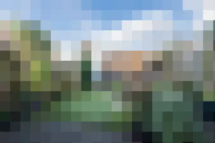 Van Maerlantlaan 5 Harderwijk thumbnail 40