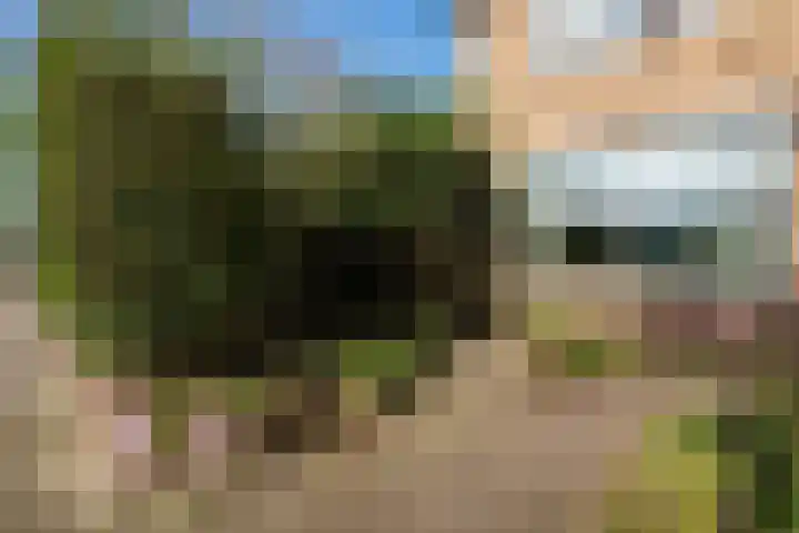 Van Maerlantlaan 5 Harderwijk thumbnail 48