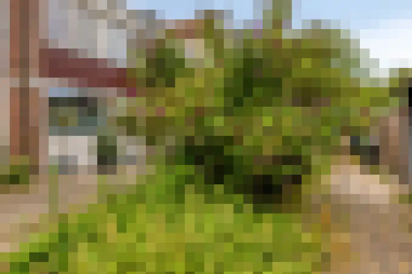 van Maerlantlaan 55 Vlaardingen thumbnail 21
