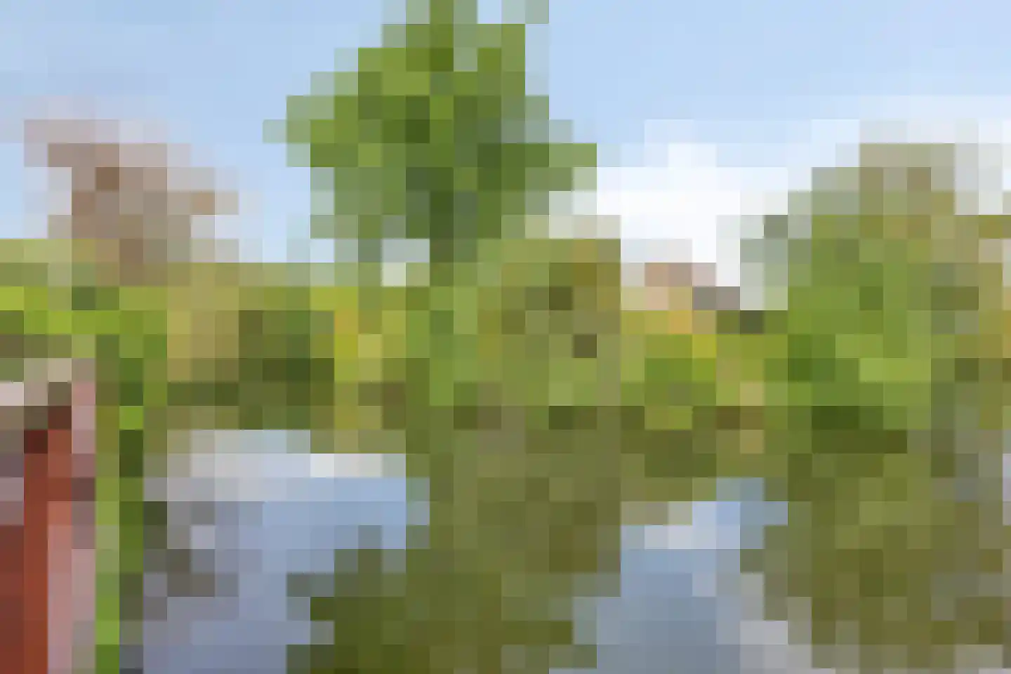 Van Maerlantpark 1 Capelle aan den IJssel thumbnail 34