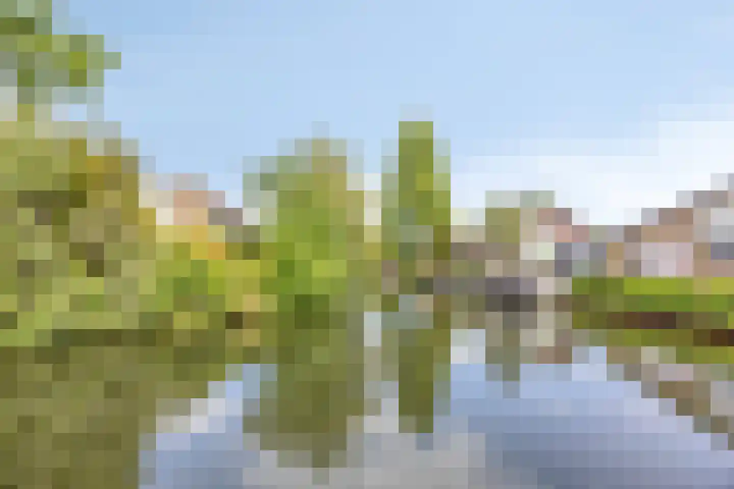 Van Maerlantpark 1 Capelle aan den IJssel thumbnail 36