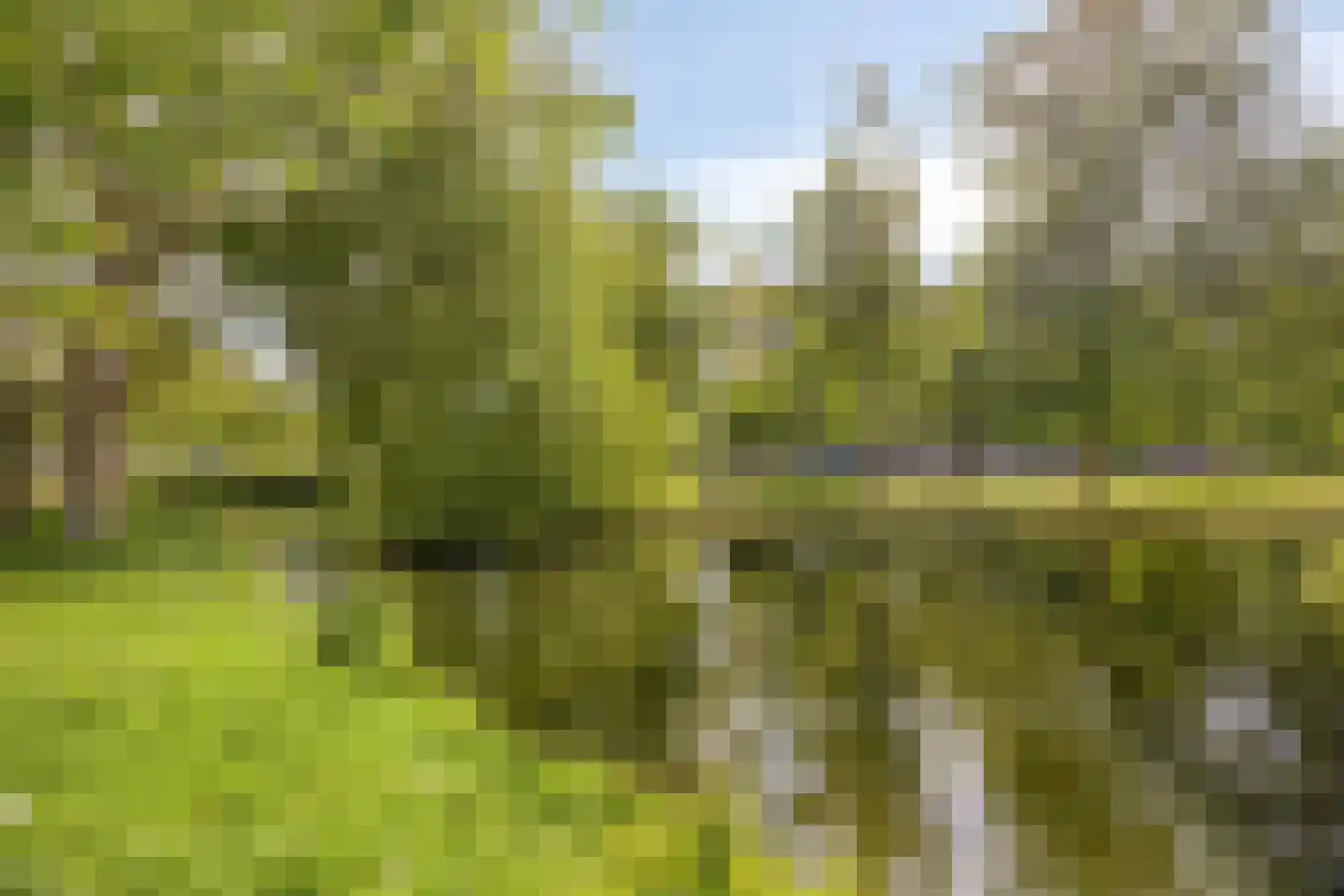 Van Maerlantpark 1 Capelle aan den IJssel thumbnail 43