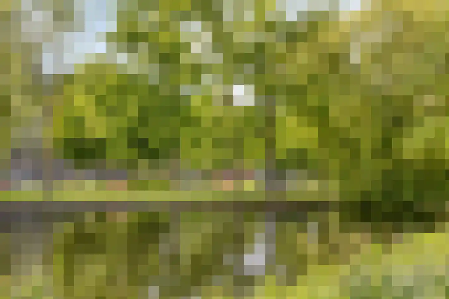 Van Maerlantpark 1 Capelle aan den IJssel thumbnail 44