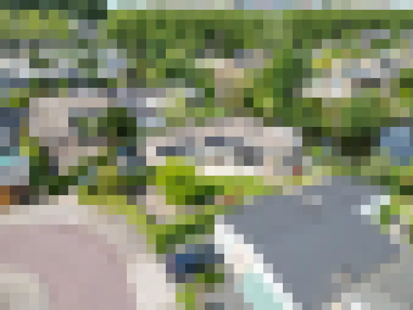 Van Maerlantpark 1 Capelle aan den IJssel thumbnail 46