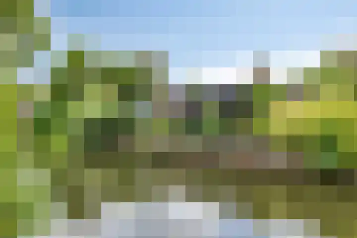 Van Maerlantpark 29 Capelle aan den IJssel thumbnail 31