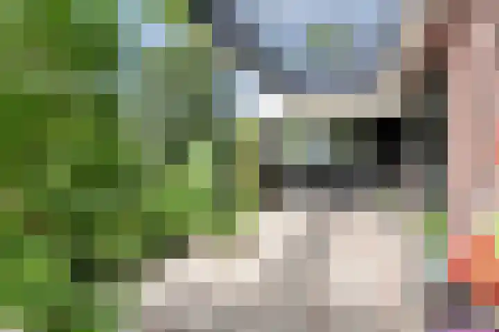 Van Maerlantpark 29 Capelle aan den IJssel thumbnail 32