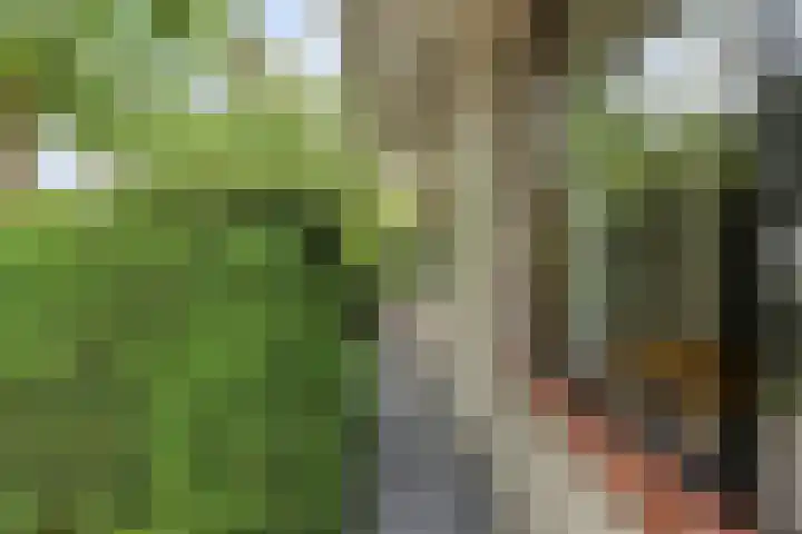 Van Maerlantpark 29 Capelle aan den IJssel thumbnail 36