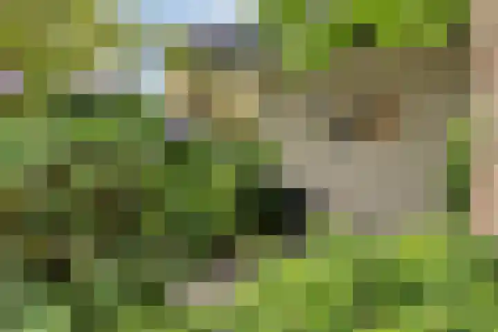 Van Maerlantpark 29 Capelle aan den IJssel thumbnail 38