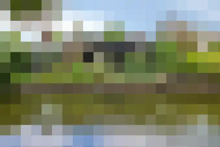 Van Maerlantpark 29 Capelle aan den IJssel thumbnail 4