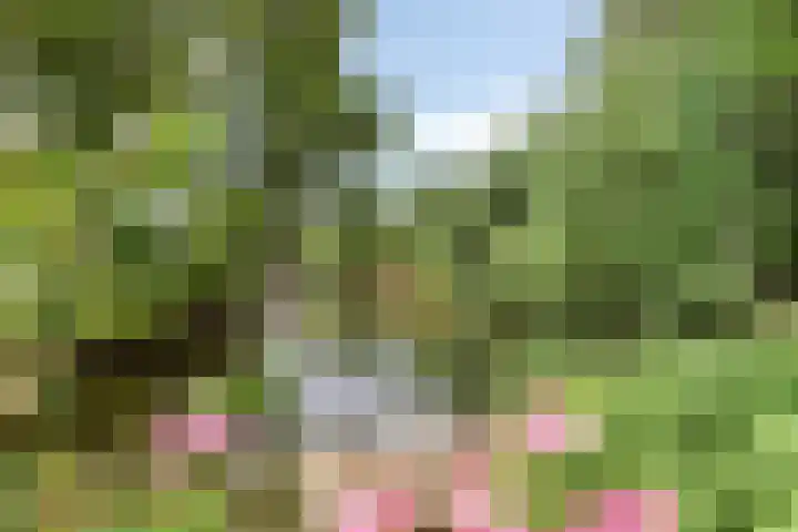Van Maerlantpark 29 Capelle aan den IJssel thumbnail 41