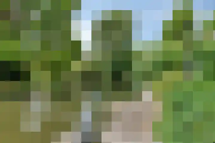 Van Maerlantpark 29 Capelle aan den IJssel thumbnail 42