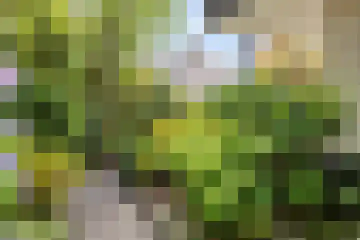 Van Maerlantpark 29 Capelle aan den IJssel thumbnail 43