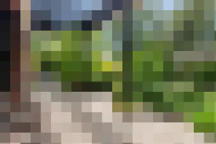 Van Maerlantpark 29 Capelle aan den IJssel thumbnail 5