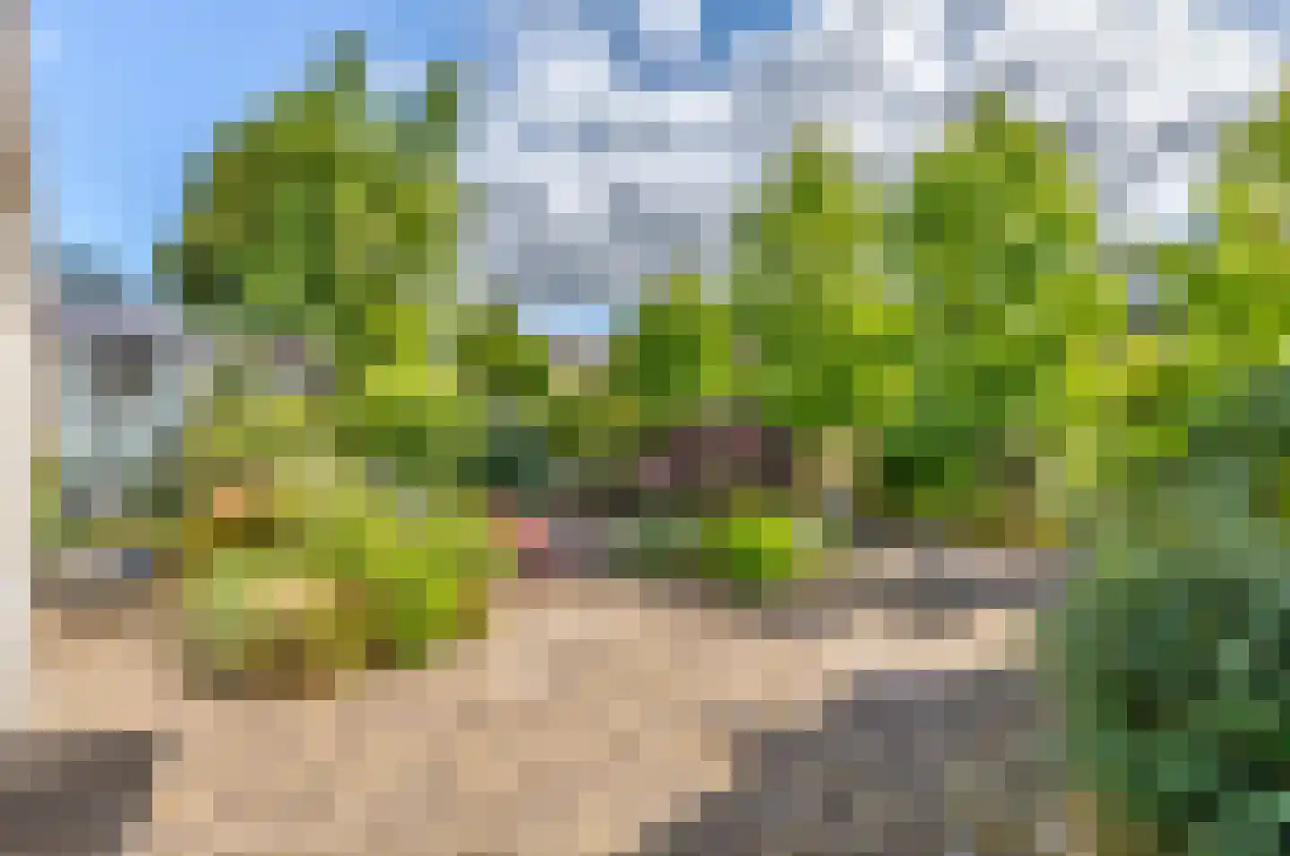Van Maerlantpark 32 Capelle aan den IJssel thumbnail 26