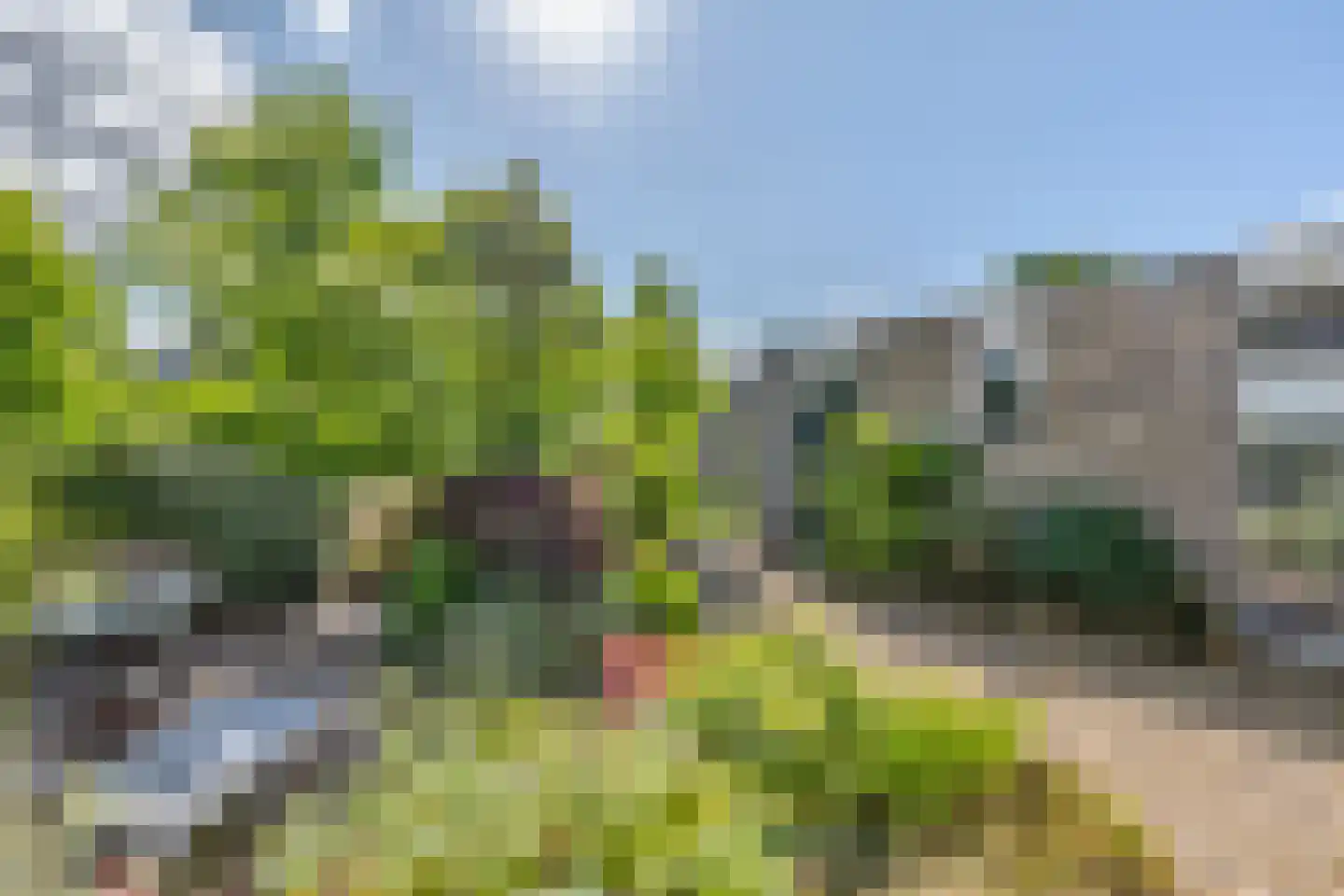 Van Maerlantpark 32 Capelle aan den IJssel thumbnail 29