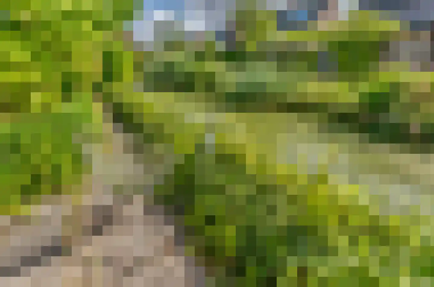Van Maerlantpark 32 Capelle aan den IJssel thumbnail 31