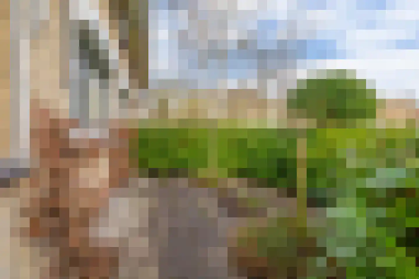 Van Maerlantpark 43 Capelle aan den IJssel thumbnail 40