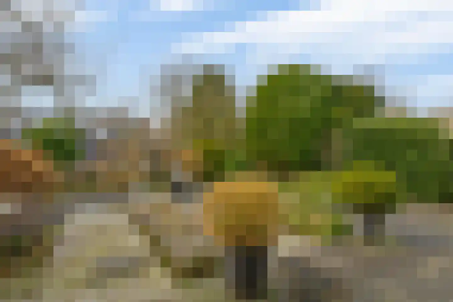 Van Maerlantpark 43 Capelle aan den IJssel thumbnail 43