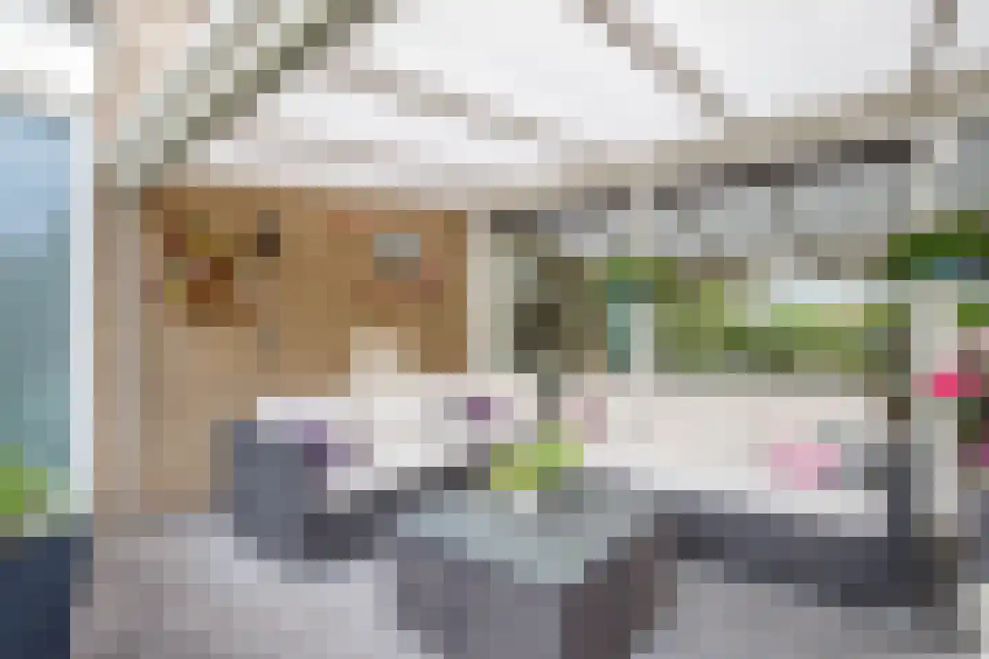 Van Maerlantpark 46 Capelle aan den IJssel thumbnail 10