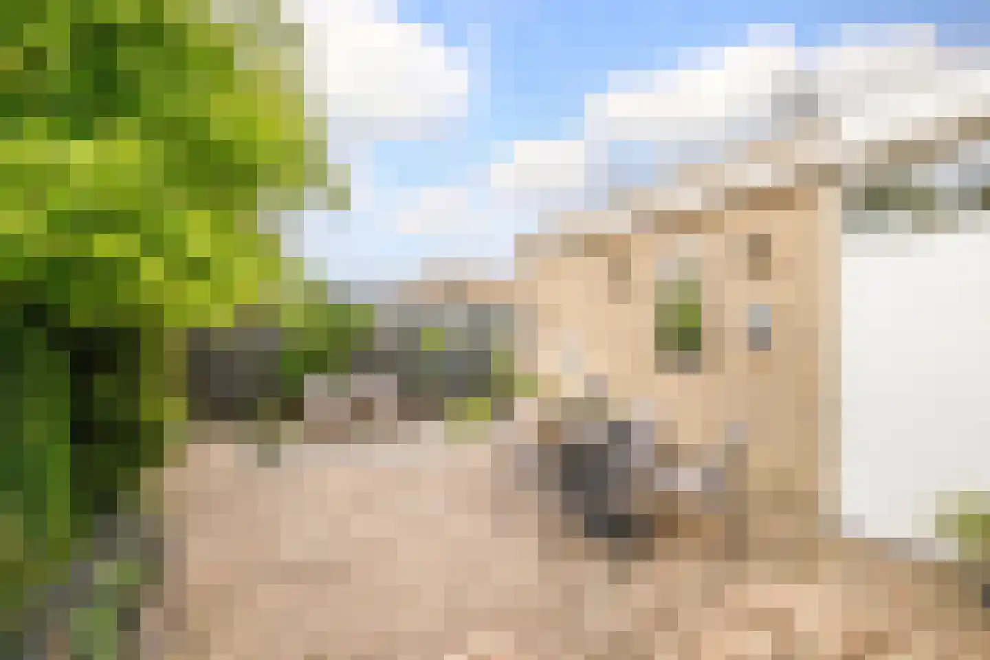 Van Maerlantpark 46 Capelle aan den IJssel thumbnail 38