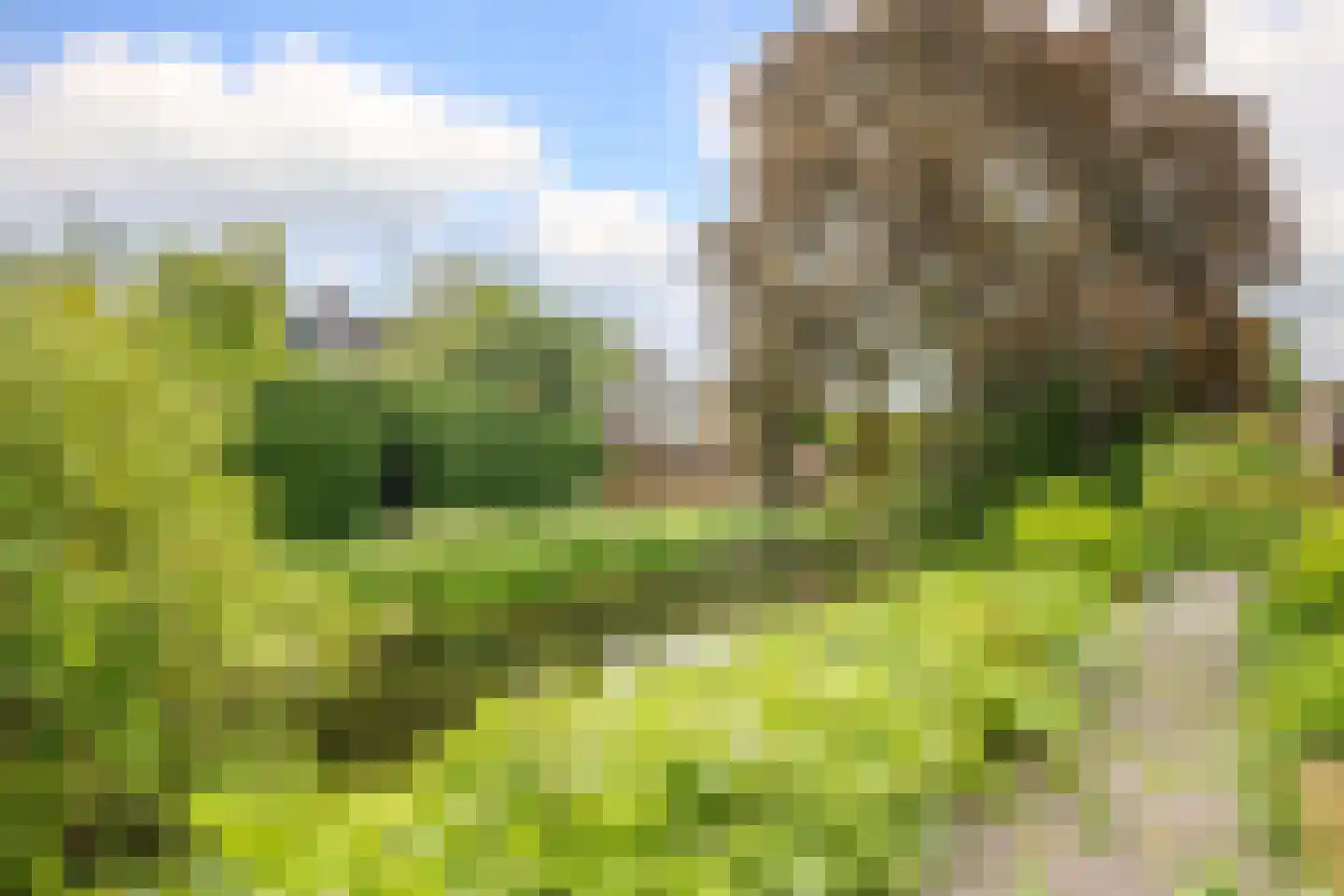Van Maerlantpark 46 Capelle aan den IJssel thumbnail 43