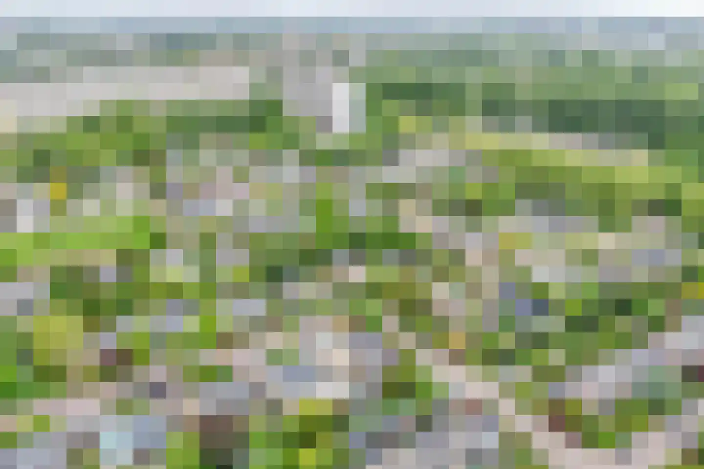 Van Maerlantpark 46 Capelle aan den IJssel thumbnail 50