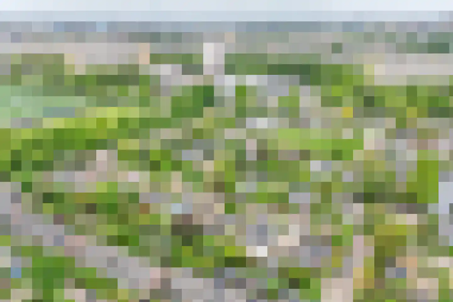 Van Maerlantpark 46 Capelle aan den IJssel thumbnail 51