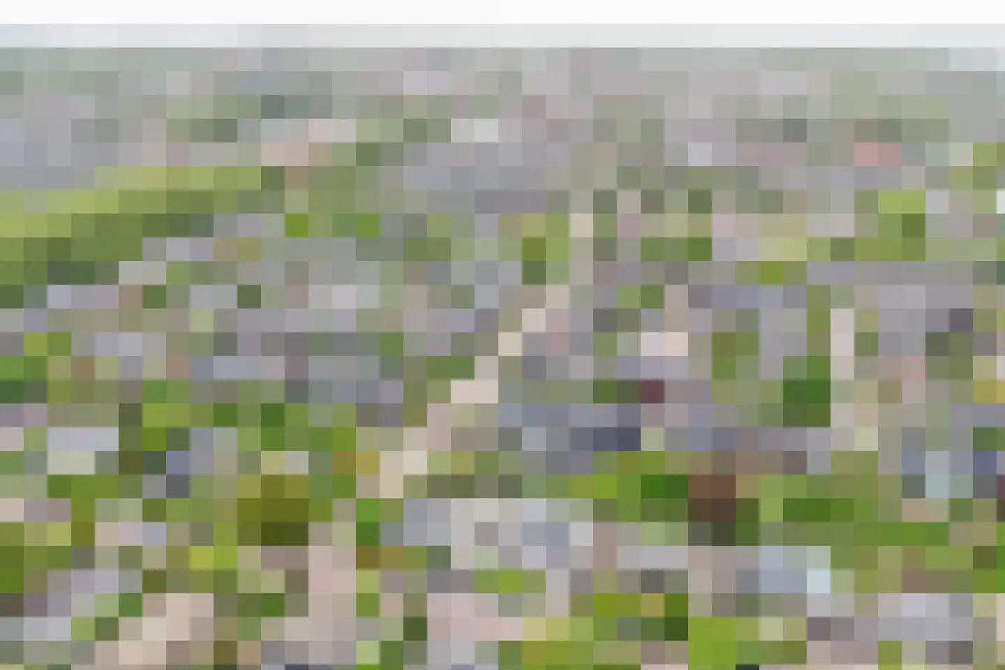 Van Maerlantpark 46 Capelle aan den IJssel thumbnail 53