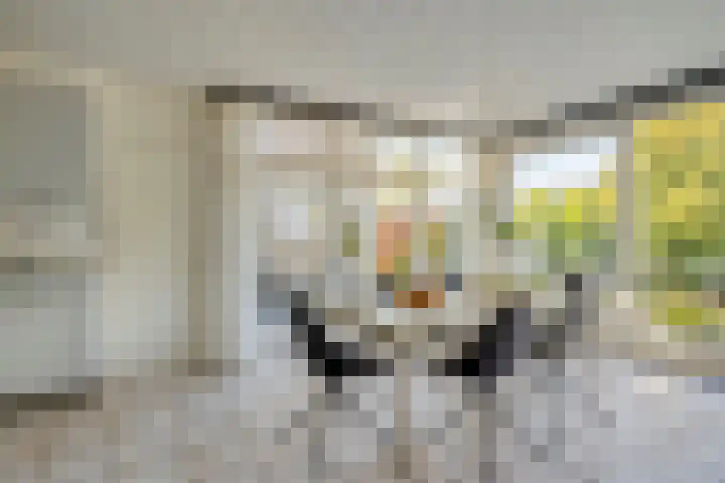 Van Maerlantpark 50 Capelle aan den IJssel thumbnail 8