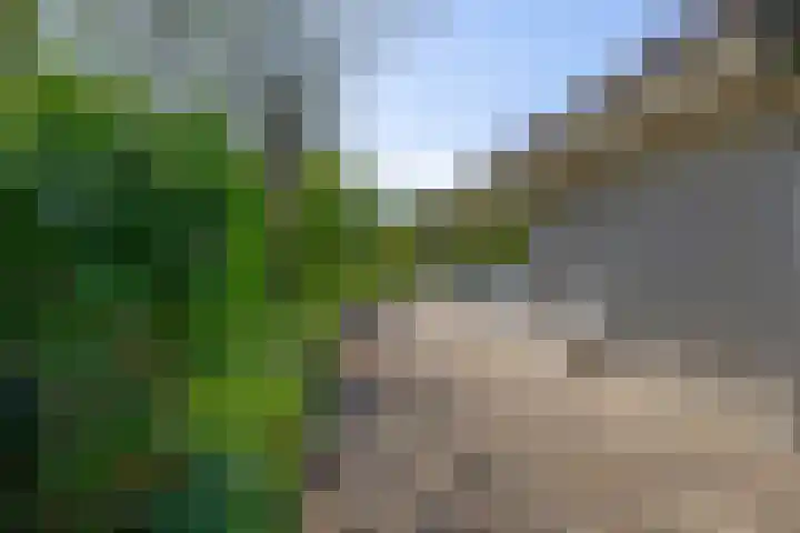 Van Maerlantpark 58 Capelle aan den IJssel thumbnail 25