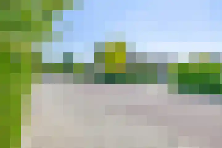 Van Maerlantpark 58 Capelle aan den IJssel thumbnail 53