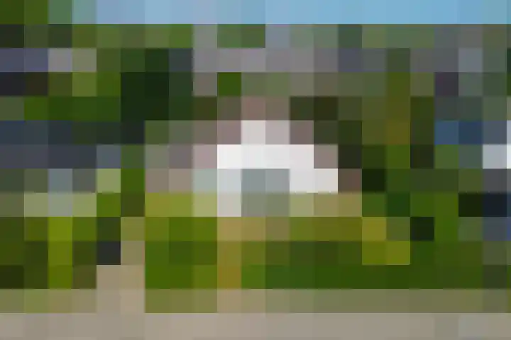 Van Maerlantpark 58 Capelle aan den IJssel thumbnail 55
