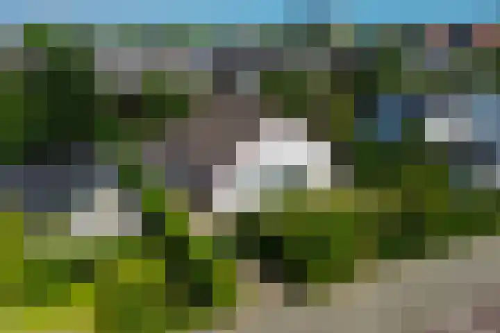 Van Maerlantpark 58 Capelle aan den IJssel thumbnail 56