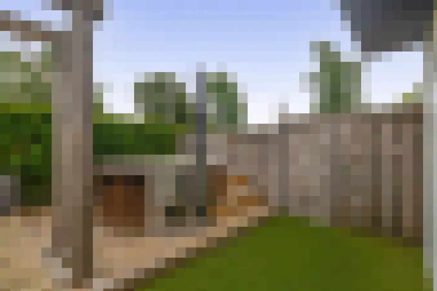 Van Maerlantpark 7 Capelle aan den IJssel thumbnail 30
