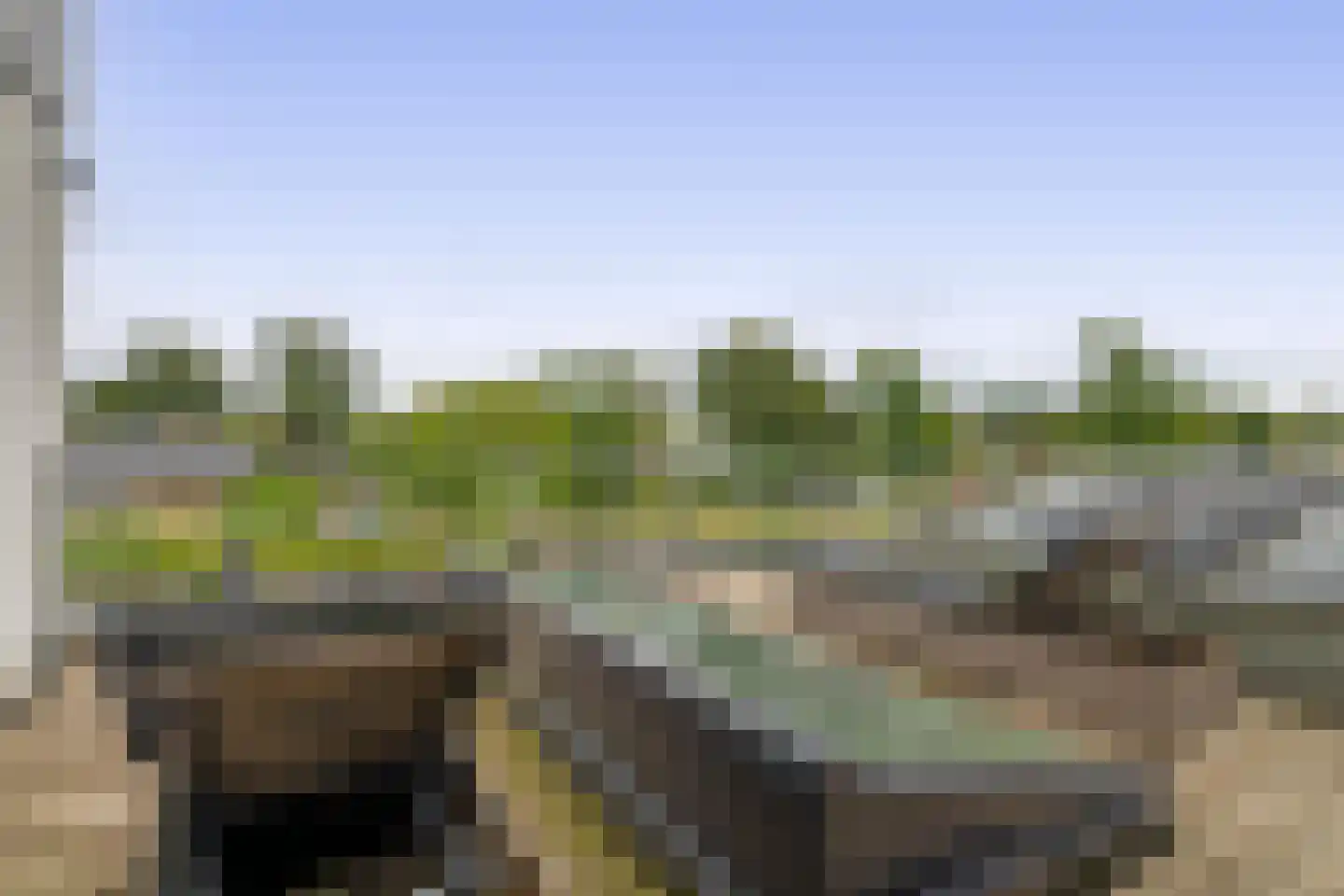 Van Maerlantpark 7 Capelle aan den IJssel thumbnail 46