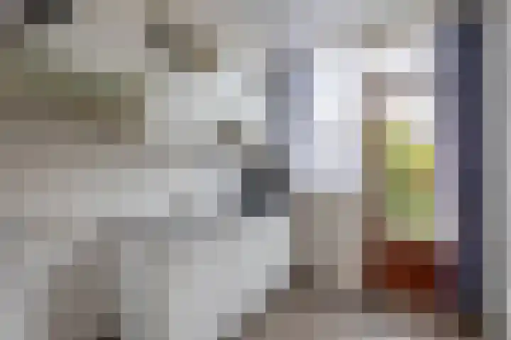 van Maerlantstraat 14 Waddinxveen thumbnail 11