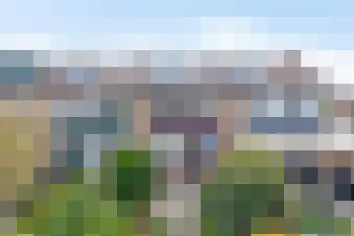 van Maerlantstraat 14 Waddinxveen thumbnail 17