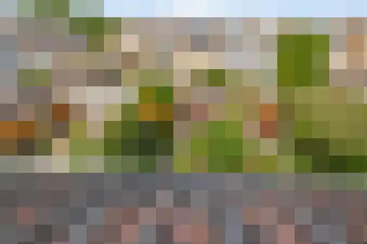 van Maerlantstraat 14 Waddinxveen thumbnail 32