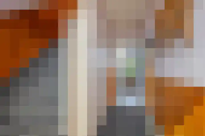 van Maerlantstraat 14 Waddinxveen thumbnail 4