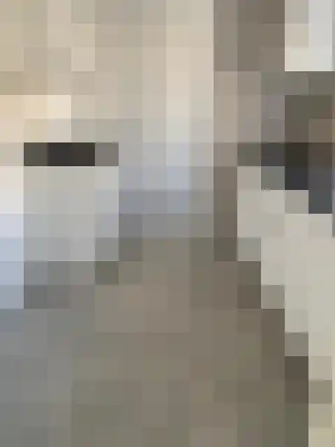 Van Maerlantstraat 20 Tilburg thumbnail 6