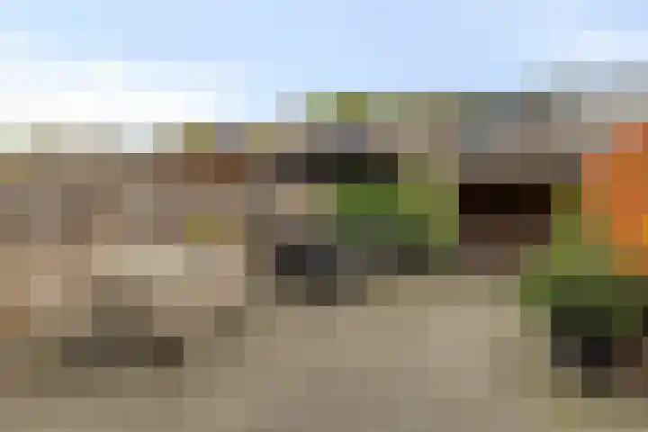 Van Maerlantstraat 21 Veenendaal thumbnail 27