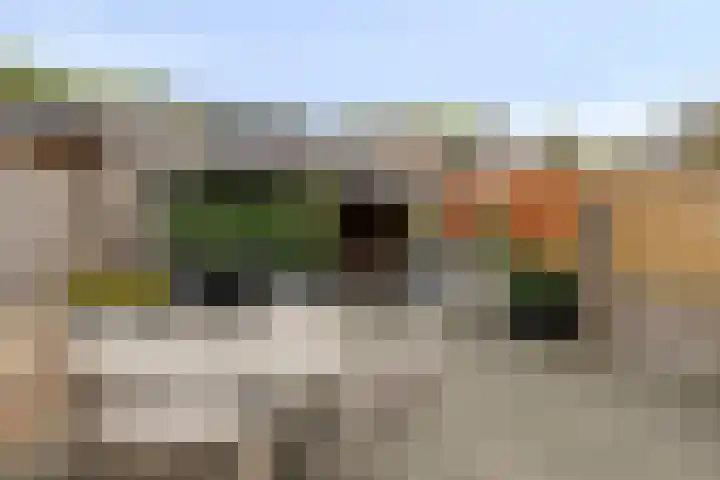Van Maerlantstraat 21 Veenendaal thumbnail 28