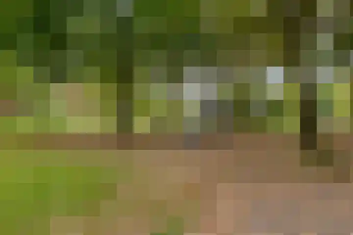 Van Maerlantstraat 21 Veenendaal thumbnail 32