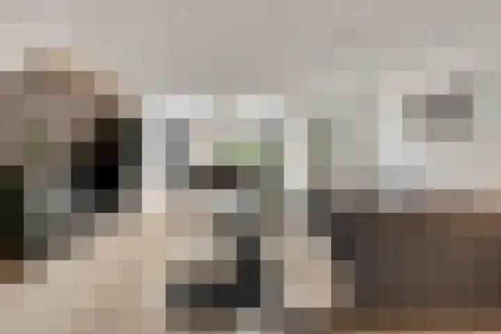 Van Maerlantstraat 21 Veenendaal thumbnail 7