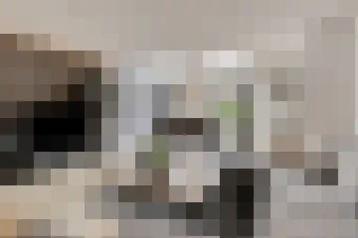 Van Maerlantstraat 21 Veenendaal thumbnail 8