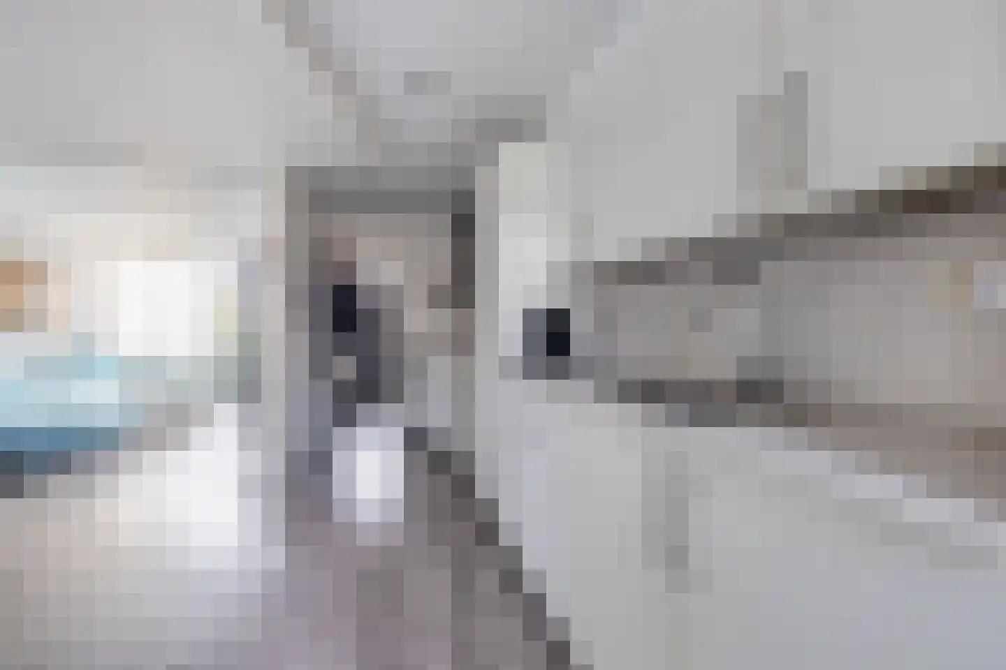 van Maerlantstraat 28 Waddinxveen thumbnail 10