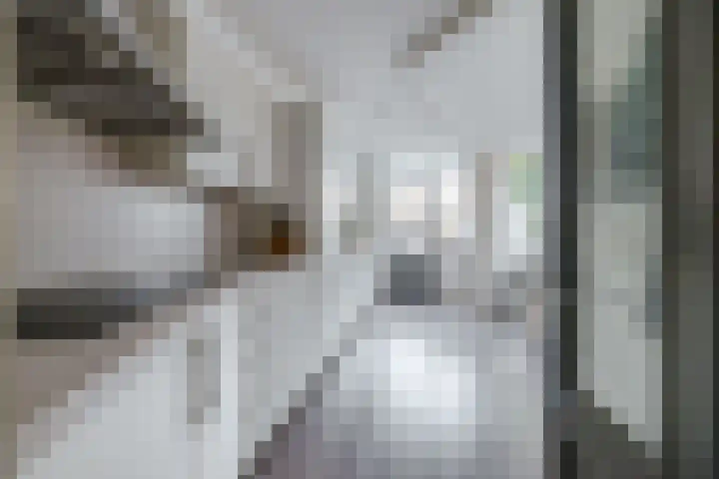 van Maerlantstraat 28 Waddinxveen thumbnail 11