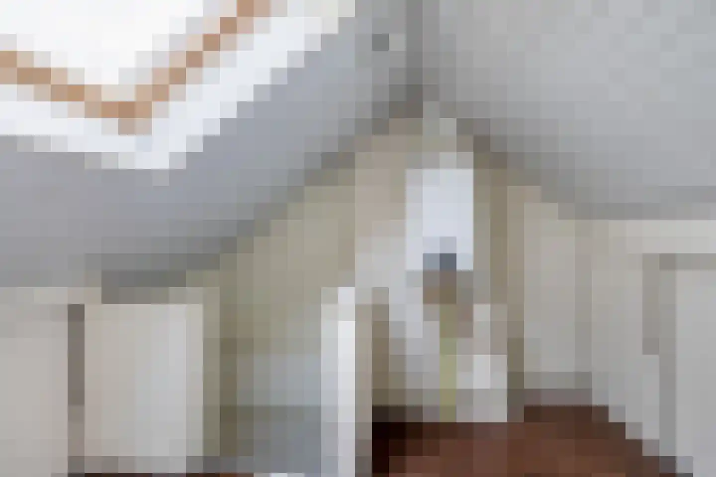 van Maerlantstraat 28 Waddinxveen thumbnail 21