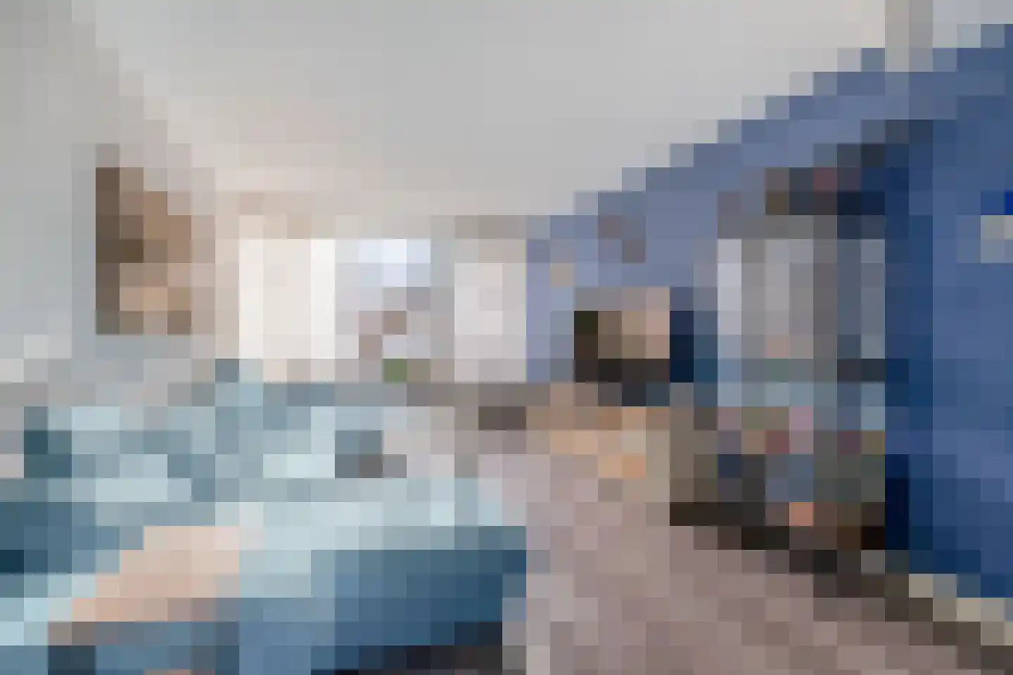 van Maerlantstraat 28 Waddinxveen thumbnail 5